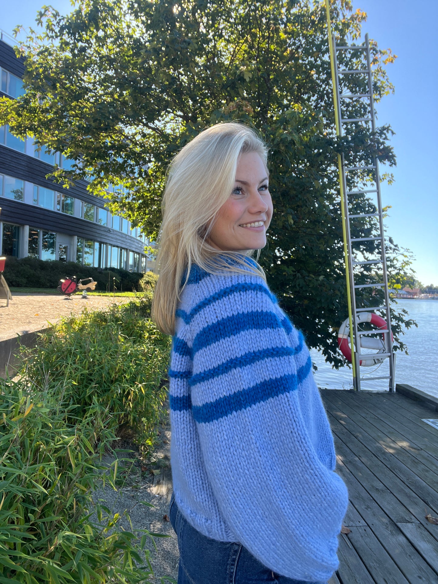 Sjøgenser